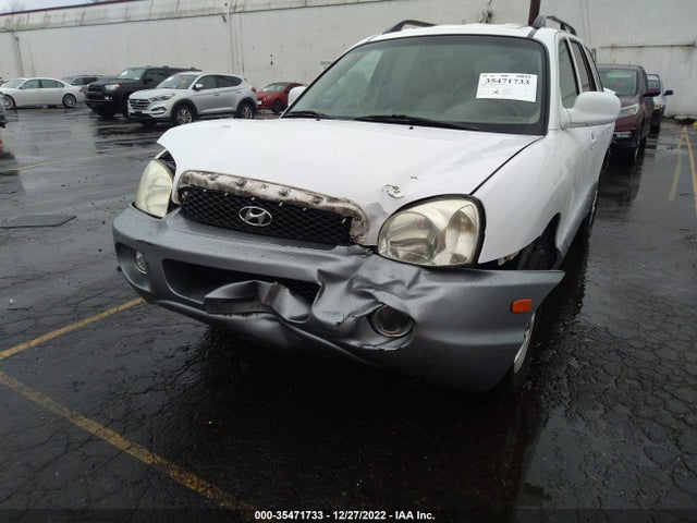 2004 HYUNDAI SANTA FE GLS/LX VIN: KM8SC73E24U811051