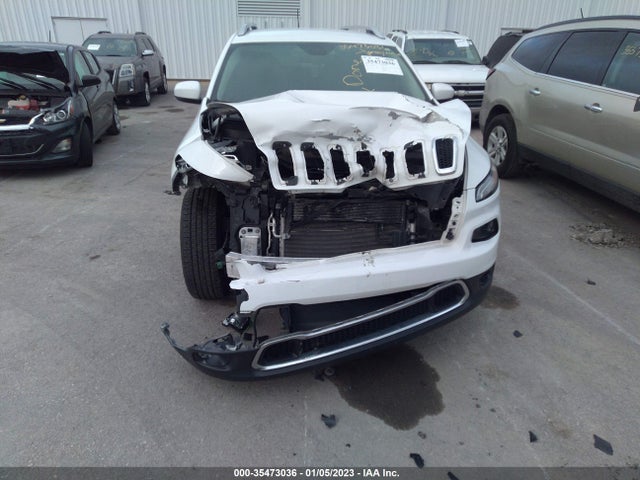 Jeep Cherokee Limited 2016 1C4PJMDS6GW131861 Image 6