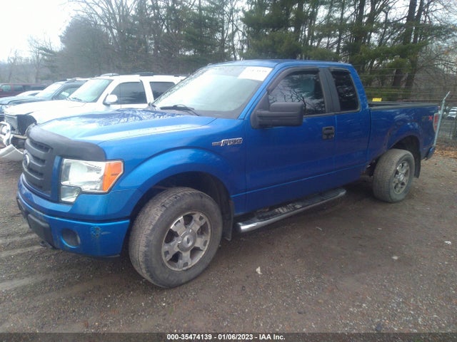 2010 FORD F-150 XL/STX/XLT VIN: 1FTEX1E84AFC89436