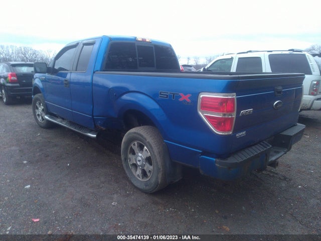 2010 FORD F-150 XL/STX/XLT VIN: 1FTEX1E84AFC89436