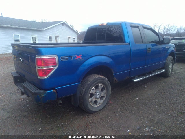 2010 FORD F-150 XL/STX/XLT VIN: 1FTEX1E84AFC89436