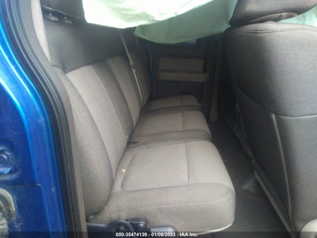 2010 FORD F-150 XL/STX/XLT VIN: 1FTEX1E84AFC89436
