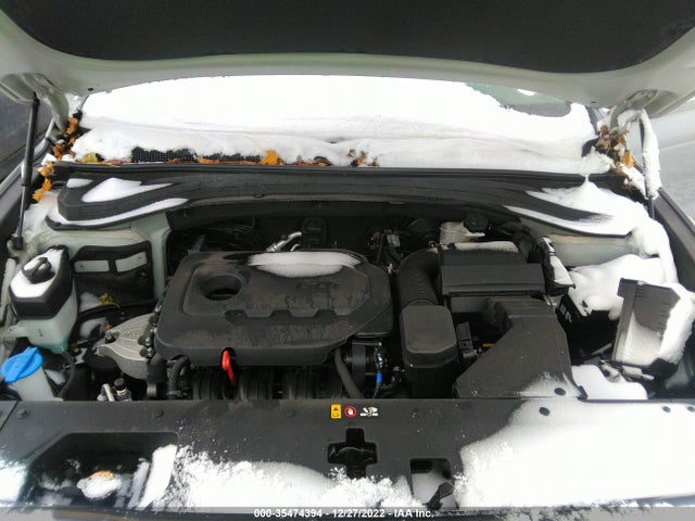2020 Hyundai Santa Fe, VIN: 5NMS3CAD4LH272378