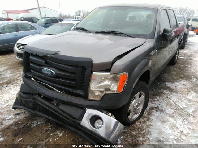 2009 FORD F-150 XL/XLT VIN: 1FTRW12819FA72401