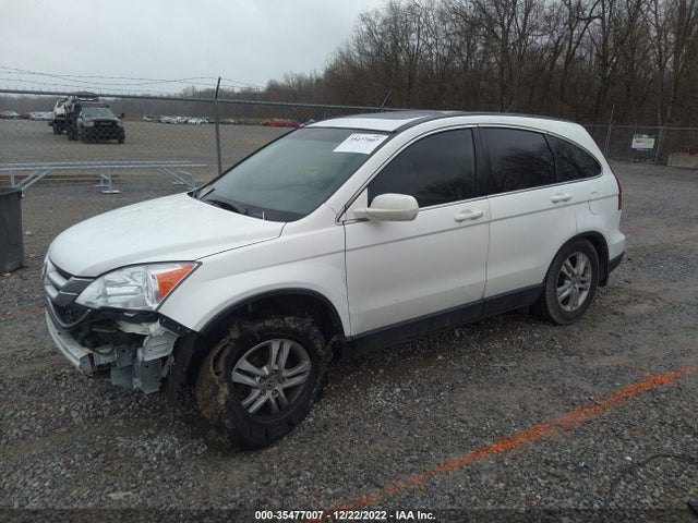 2010 HONDA CR-V EX-L VIN: JHLRE4H71AC011285