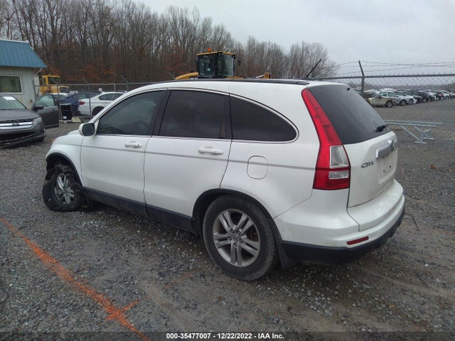 2010 HONDA CR-V EX-L VIN: JHLRE4H71AC011285