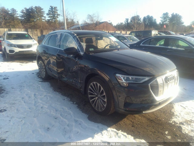 2019 Audi e-tron, VIN: WA1VABGE4KB011326