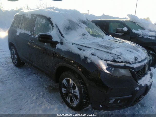 2019 Honda Passport, VIN: 5FNYF8H26KB020392