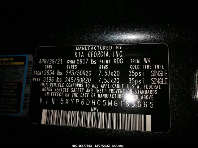 2021 Kia Telluride, VIN: 5XYP6DHC5MG185665