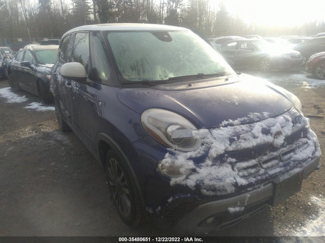 2019 Fiat 500L, VIN: ZFBNFADHXKZ042428