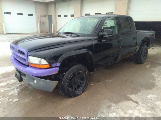 Dodge DAKOTA SLT 2003 1D7HG48N23S311756 Image 2