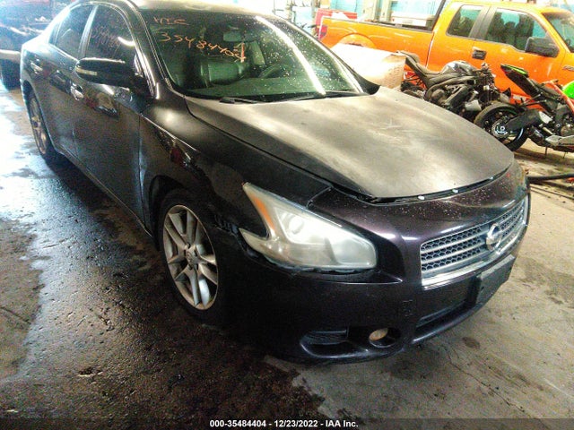 2010 NISSAN MAXIMA 3.5 SV VIN: 1N4AA5AP9AC820514