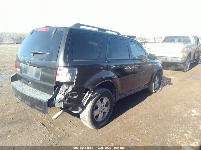2011 FORD ESCAPE XLT VIN: 1FMCU0D71BKA41992