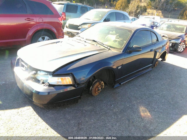 2002 FORD MUSTANG GT VIN: 1FAFP42X22F180725