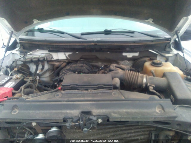 2013 FORD F-150 XL VIN: 1FTEW1CM8DFA53167