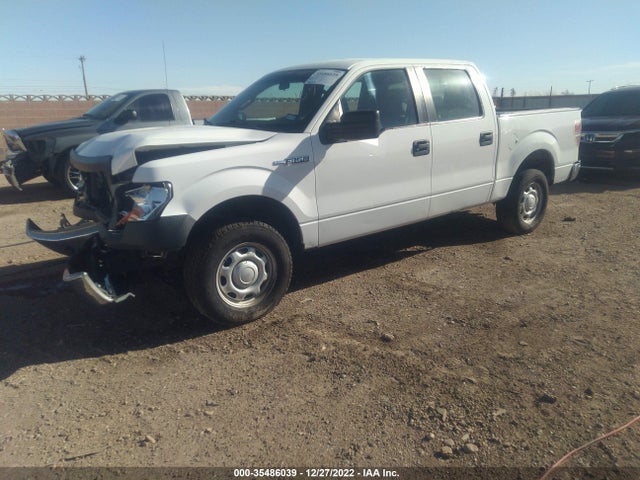 2013 FORD F-150 XL VIN: 1FTEW1CM8DFA53167
