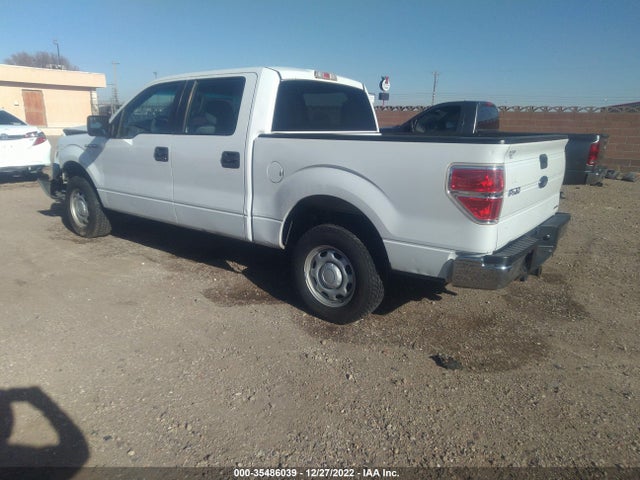 2013 FORD F-150 XL VIN: 1FTEW1CM8DFA53167