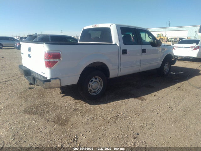 2013 FORD F-150 XL VIN: 1FTEW1CM8DFA53167