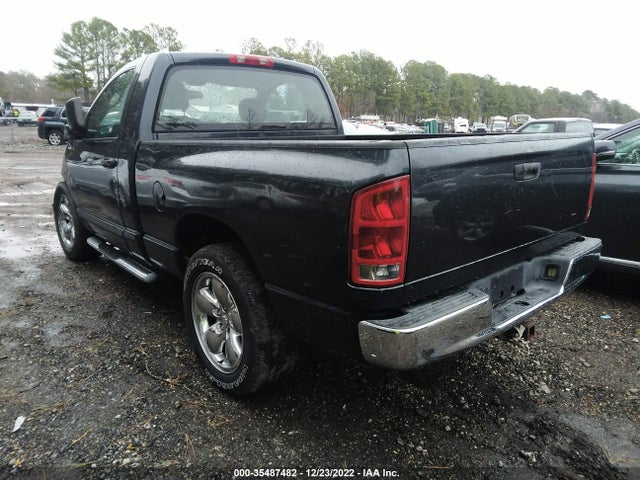 2004 DODGE RAM 1500 SLT VIN: 1D7HA16D14J190736