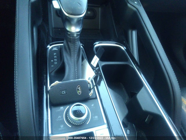 2021 Kia Telluride, VIN: 5XYP3DHC6MG113799