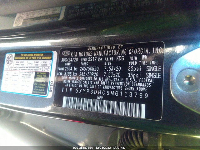 2021 Kia Telluride, VIN: 5XYP3DHC6MG113799
