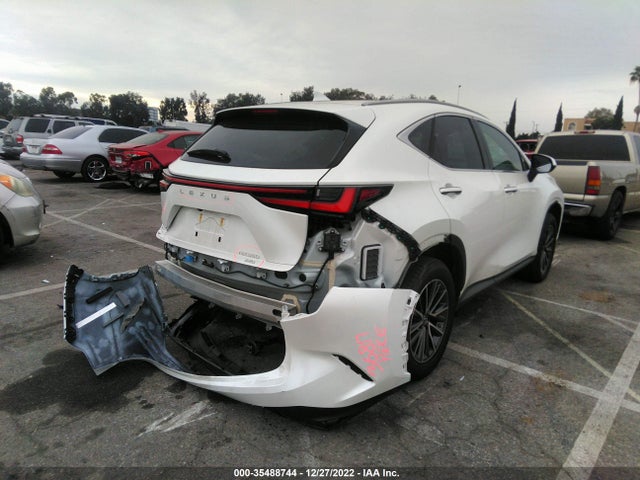 2022 Lexus NX, VIN: JTJAGCEZ8N2003116