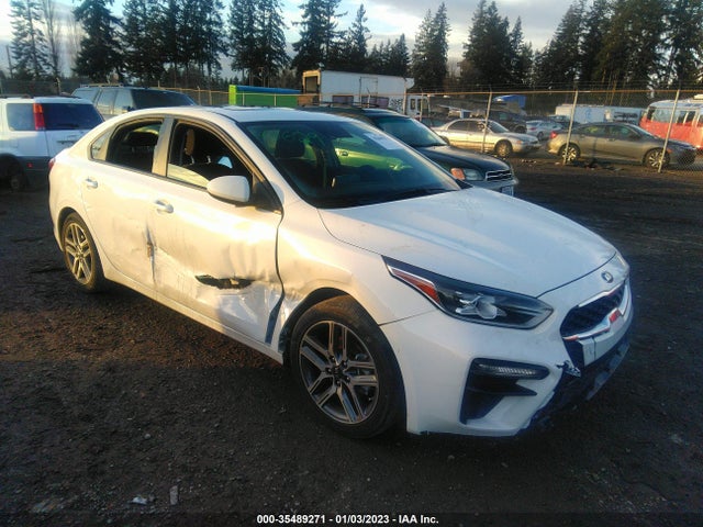 2019 Kia Forte, VIN: 3KPF34AD0KE098581