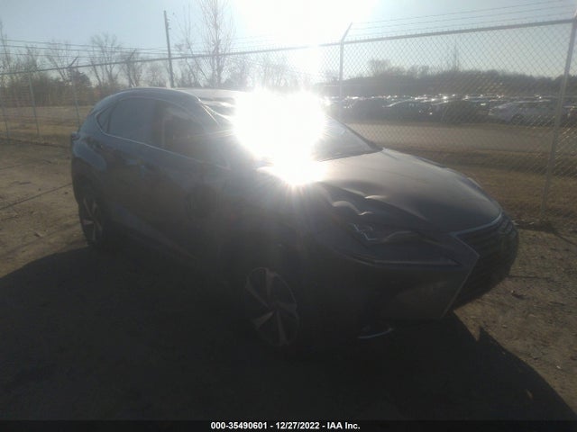 2018 Lexus NX, VIN: JTJBARBZ1J2150031