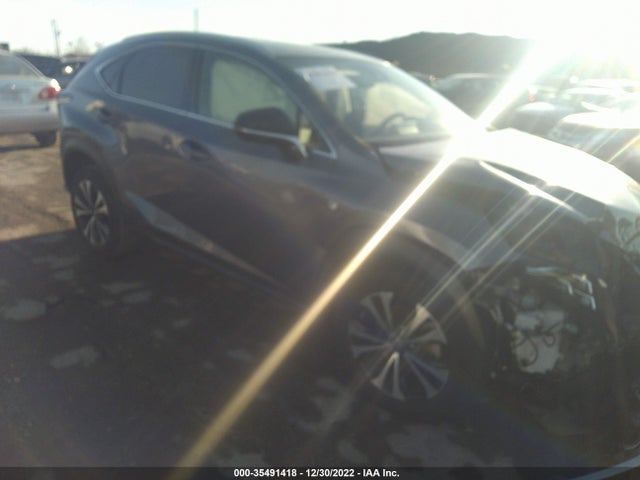 2020 Lexus NX, VIN: JTJSARDZ2L5008057