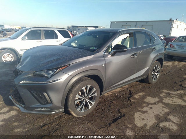 2020 Lexus NX, VIN: JTJSARDZ2L5008057