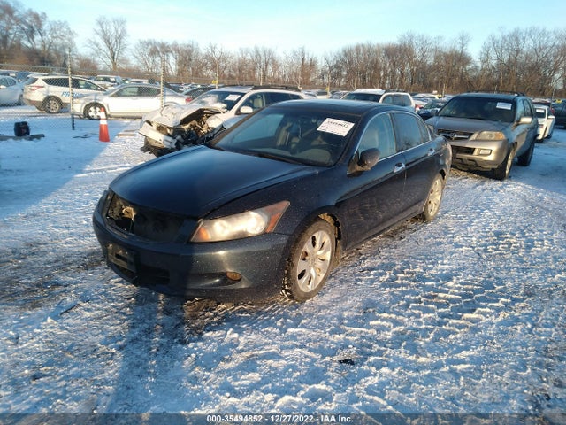 2010 HONDA ACCORD SDN EX-L VIN: 5KBCP3F87AB016434