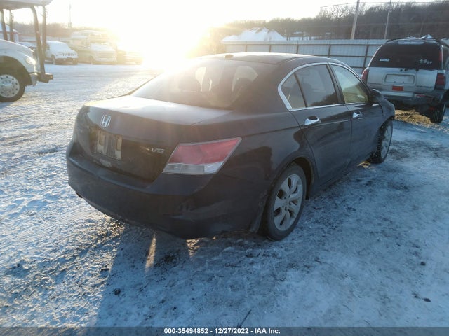 2010 HONDA ACCORD SDN EX-L VIN: 5KBCP3F87AB016434