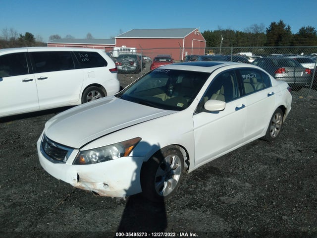 2010 HONDA ACCORD SDN EX-L VIN: 5KBCP3F89AB005273