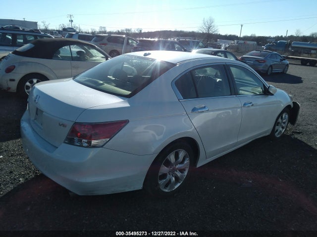 2010 HONDA ACCORD SDN EX-L VIN: 5KBCP3F89AB005273