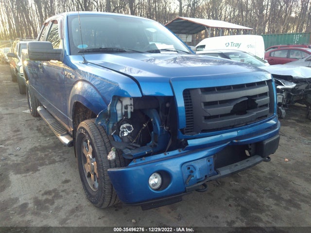 2009 FORD F-150 STX/XLT/XL VIN: 1FTRX148X9FB15983