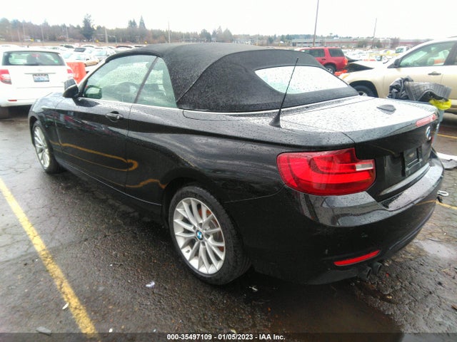 BMW 2 Series 228i 2016 WBA1K9C59GV322379 Image 4