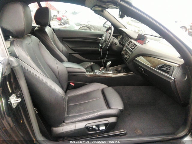 BMW 2 Series 228i 2016 WBA1K9C59GV322379 Image 6