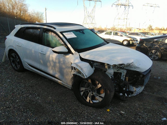 2022 Audi e-tron, VIN: WA1AAAGE0NB042490