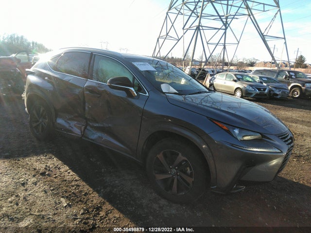 2020 Lexus NX, VIN: JTJGARDZ1L2228720
