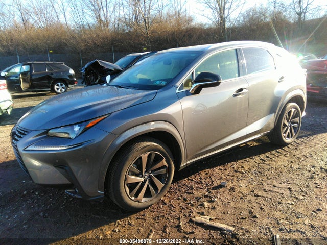 2020 Lexus NX, VIN: JTJGARDZ1L2228720