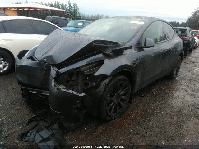 Tesla Model Y 2022 7SAYGDEE7NF504518 Image 2