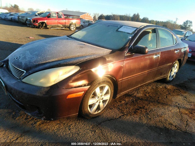 Lexus ES 330 2005 JTHBA30G855098224 Image 2