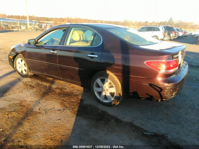 Lexus ES 330 2005 JTHBA30G855098224 Image 4