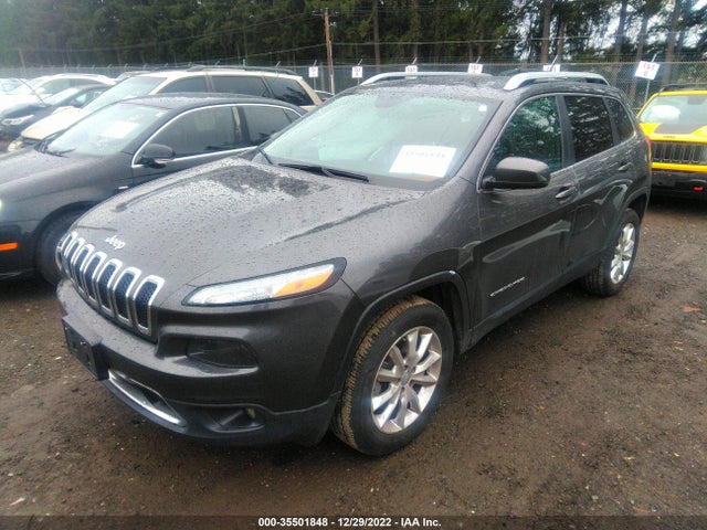 2014 JEEP CHEROKEE LIMITED VIN: 1C4PJMDB9EW163989