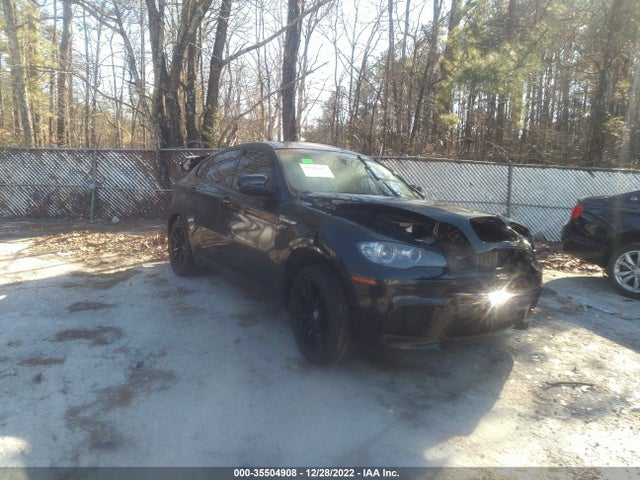 BMW X6 M 2010 5YMGZ0C54ALK13228 Image 1