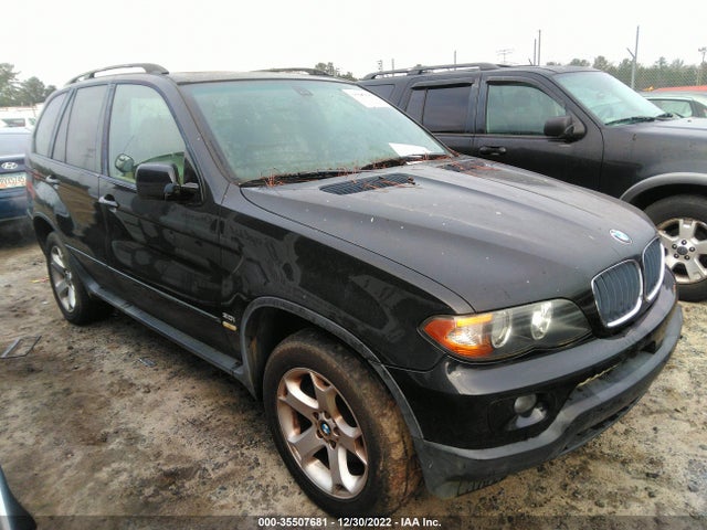 2004 BMW X5 3.0I VIN: 5UXFA135X4LU35745