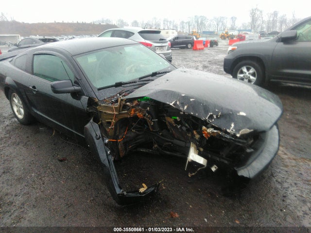 2009 FORD MUSTANG VIN: 1ZVHT80NX95130675