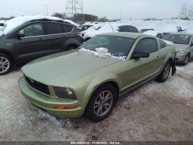 2005 FORD MUSTANG DELUXE/PREMIUM VIN: 1ZVFT80N355133354