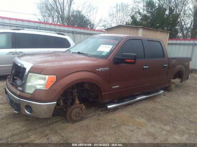 2012 FORD F-150 XL/XLT/FX4/LARIAT VIN: 1FTFW1ET9CFA09511