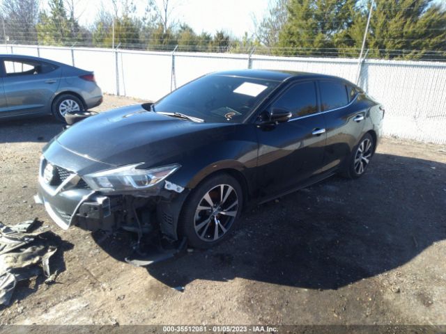 1N4AA6AP2JC392128 Nissan MAXIMA SV
